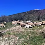 In Near And Islands Διαμέρισμα Βερμπάνια