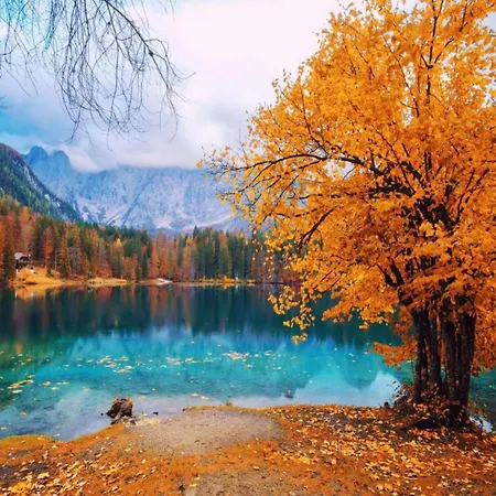 In Near And Islands Apartment Verbania