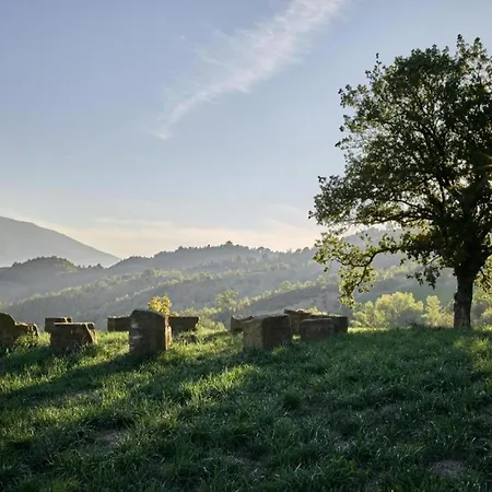 Apartment In Near And Islands *