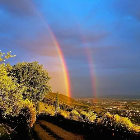 In Near And Islands Verbania