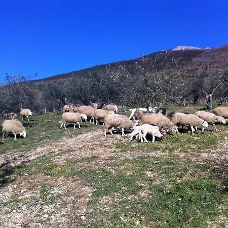 In Near And Islands Apartment Verbania