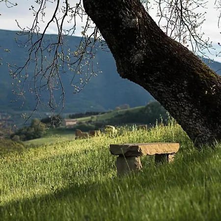 In Near And Islands Verbania