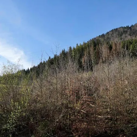 Appartement In Near And Islands Verbania