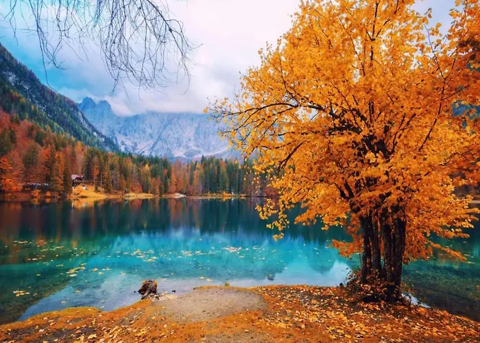 In Near And Islands Apartment Verbania