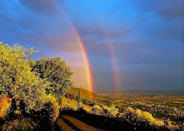 In Near And Islands Verbania