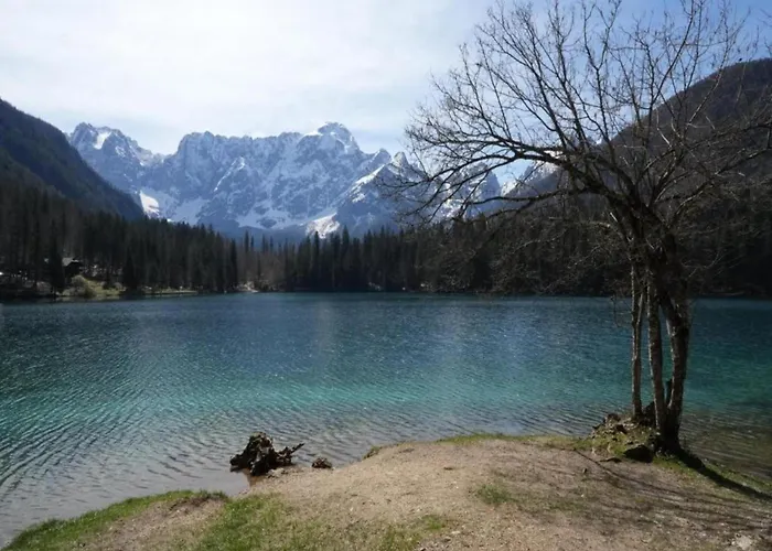 In Near And Islands Apartament