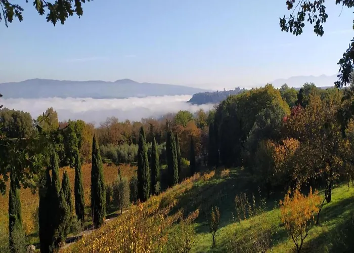 Apartament In Near And Islands