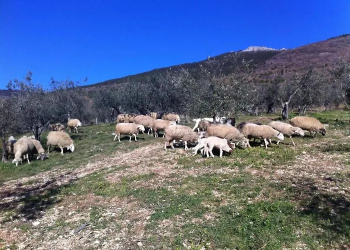 In Near And Islands Apartment Verbania