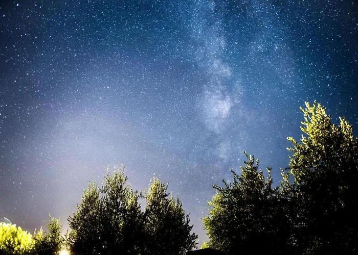 Apartment In Near And Islands