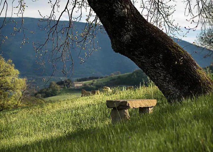 In Near And Islands Verbania