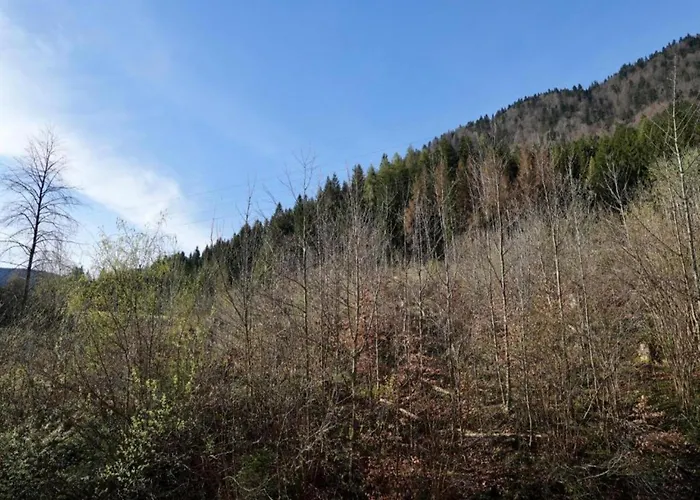 Apartment In Near And Islands Verbania